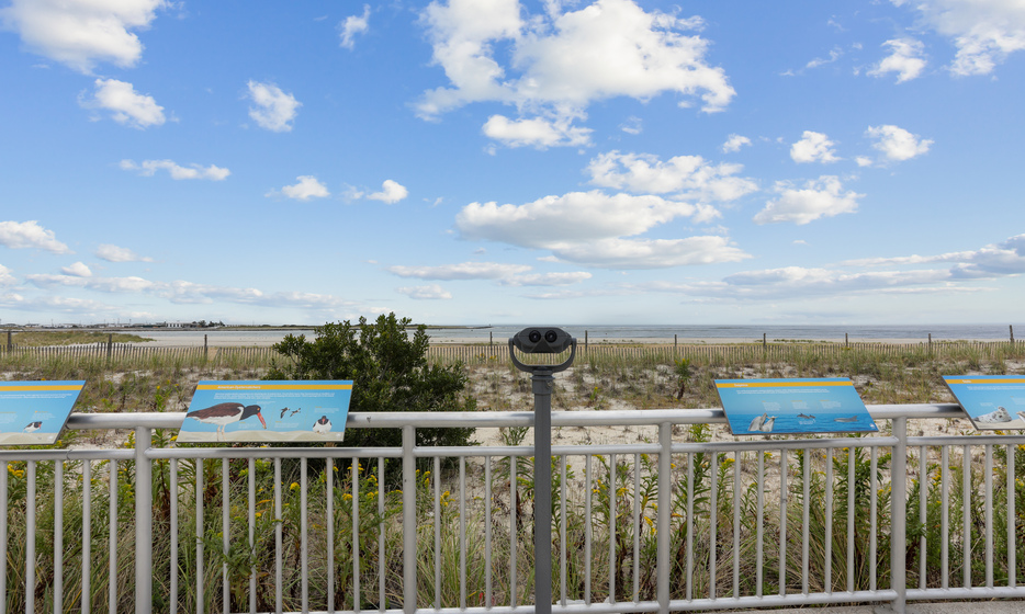 Wavecrest Gardens Boardwalk